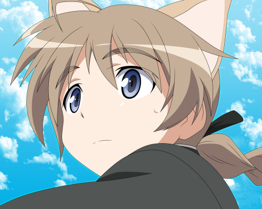 628912 (a): :2560x2048